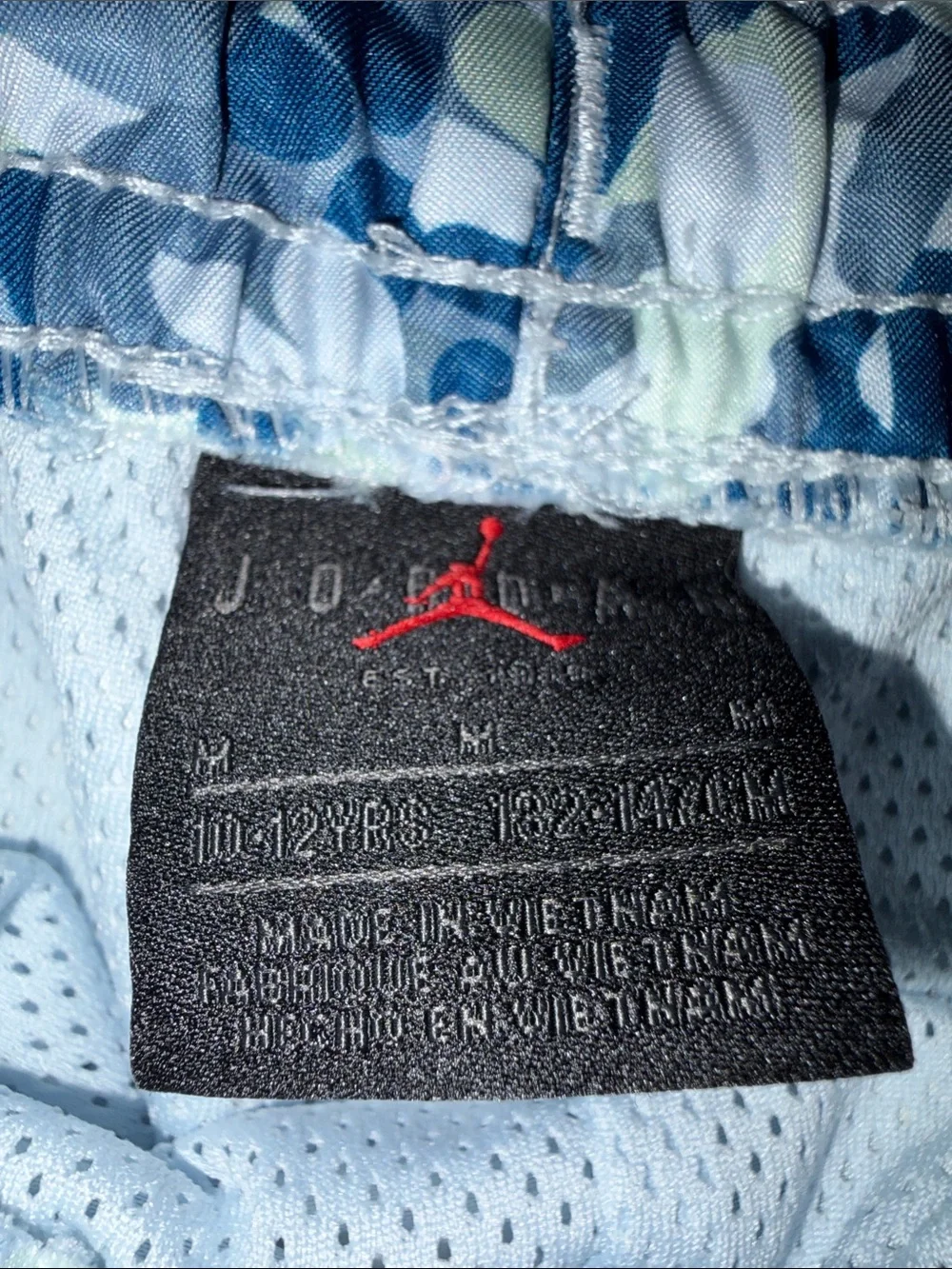 Jordan Men's Blue & White Swim Trunks